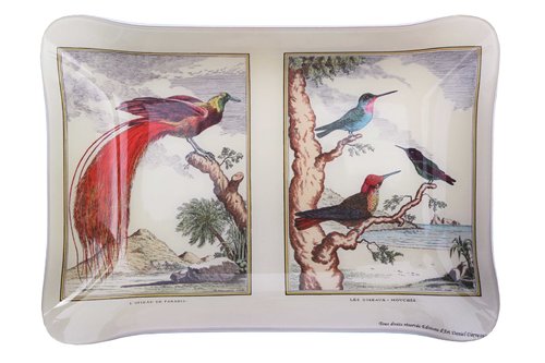 Vide-poches mini plateau acrylique oiseaux colibris